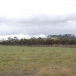 Somewhere between Camperdown and Colac