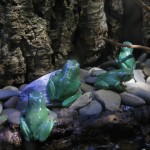 The same frogs like we've got in the garden