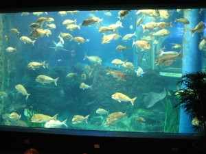 The window was made out of 6 layers plexiglass and approx. 90cm thick.
