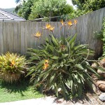small_DSC_2801