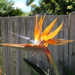 small_DSC_2802