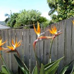 small_DSC_2803