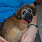 small_DSC_2791