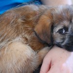 small_DSC_2794