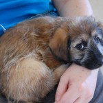 small_DSC_2797