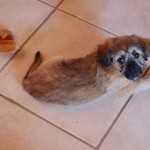 small_DSC_2818