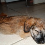 small_DSC_2822
