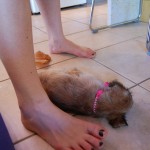 small_DSC_2823