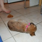 small_DSC_2824