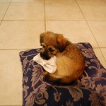 small_DSC_2825