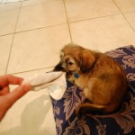 small_DSC_2829