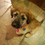 small_DSC_2838