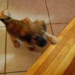 small_DSC_2849
