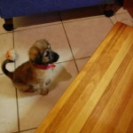 small_DSC_2850