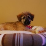 small_DSC_2851
