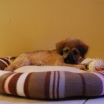 small_DSC_2855