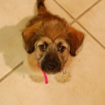 small_DSC_2856