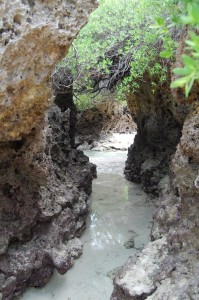 small_DSC_6879