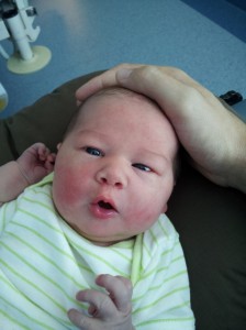 amelia